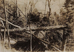 hurricane 1938 photo